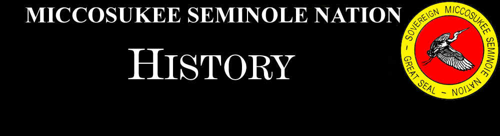 HISTORY BANNER 06.jpg (98160 bytes)